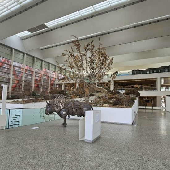 Museo de la Evolución Humana