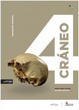 Exposición: Cráneo 4