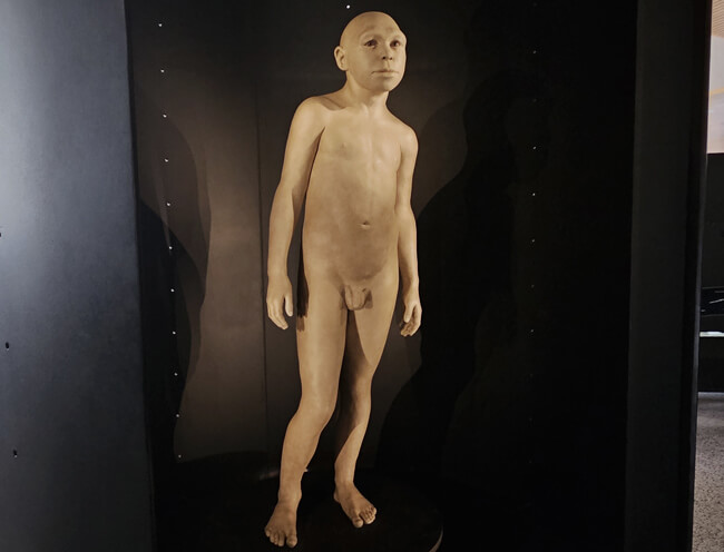 Figura de Homo antecessor. Museo Evolución Humana