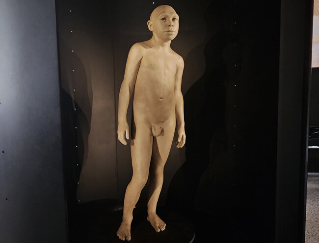 Figura de Homo antecessor. Museo Evoluci&oacute;n Humana